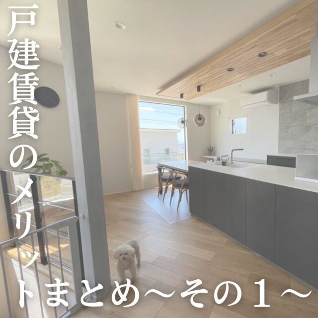 .
戸建賃貸に住むメリットまとめ編その1です👀♡

共同住宅とはまた違ったメリットが
たくさんある戸建賃貸🏡⋆*
ぜひ参考にしてみて下さい🤲

フジヒサハウジングではそんな戸建てを賃貸として
貸し出しております。
現在の戸建賃貸の空き情報を知りたい方は
「戸建賃貸」とコメントください💬
DMでお送りいたします💌 ̖́-‬

お電話ご希望の方は
▷▶0120-188-579

#新築一戸建て #賃貸物件 #戸建賃貸
#工務店がつくる家 #こだわりの家
#大阪賃貸 #賃貸住宅 #お部屋探し